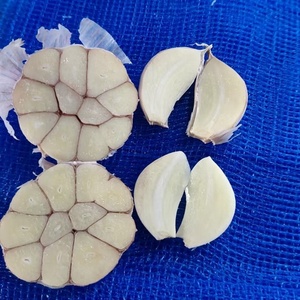 Ajo recién cosechado de 4.5-7 cm de tamaño, incluyendo variedades blancas puras y rojas, apto para cocinar y plantar. - Product Image 4