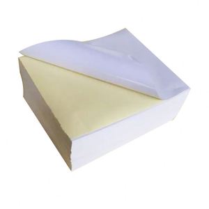 Transparente al por mayor barato arte pegatinas de papel de impresión de logotipo para el calentamiento de Papular utilizado en el Hospital - Product Image 1