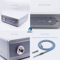 EUR VET Source de lumière froide réutilisable Hystéroscope Anoscope Arthroscopie Instrument d'endoscopie pour les soins des chiens