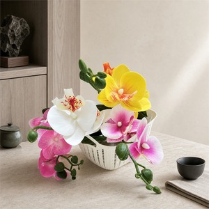 Orquídeas Phalaenopsis Artificiales de 24 Pulgadas de Alto Sin Maceta, Decoración del Hogar, Accesorios Simples para Fotografía - Product Image 2