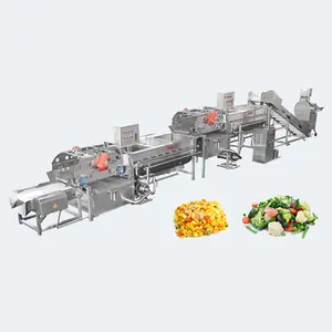 AICNPACK Ligne de production congelée pour fruits et légumes, tri, lavage, coupe, laveuse de légumes congelés