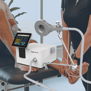 Máquina de Magnetoterapia Fisioterapéutica PMST Loop para Alivio <span class=keywords><strong>del</strong></span> Dolor Corporal en Caballos, Dispositivo de Terapia PEMF - Product Image 5