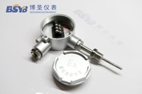 PT100 Armored Resistance Thermometer -50℃-300℃ for Industrial Furnace Fast Response Long Life