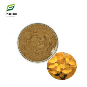 Nhà máy cung cấp <span class=keywords><strong>100</strong></span>% tự nhiên hữu cơ <span class=keywords><strong>Ginkgo</strong></span> lá Chiết xuất 99% Ginko Biloba lá chiết xuất bột - Product Image 1