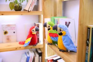 Oreiller en peluche parlant en forme de <span class=keywords><strong>perroquet</strong></span> rouge mignon, fabrication sur mesure en usine, vente en gros 2022 - Product Image 5