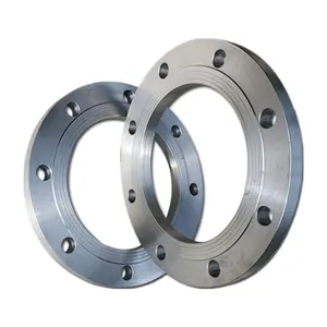 DIN2559 welding ends 3 inch forged stainless steel flange