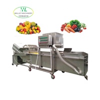 Commerciële roestvrijstalen motor aangedreven groente- en fruitwasmachine met belletjeswasser voor sojabonen en maïs