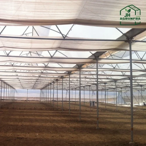 Serre polyvalente NVPH de 8 m de haute qualité, idéale pour l'agriculture protégée, l'environnement contrôlé et la culture de cultures rondes. - Product Image 1
