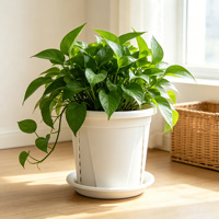 Pot de culture avec contrôle des racines, aérations latérales, trous de drainage inférieurs, pots de pépinière réutilisables en PP, durables pour sol, intérieur, balcon, fleurs et légumes