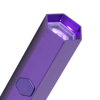 Lampe à ongles portable mini format stylo 230mAh, lampe UV pour séchage rapide du vernis gel avec support magnétique