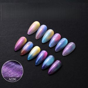 OEM/ODM <span class=keywords><strong>RONDIE</strong></span> Vernis gel UV magnétique longue durée oeil de chat avec LED durcissant perles de verre arc-en-ciel en bouteille pour Nail Art - Product Image 1