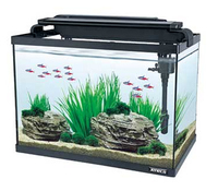 JENECA petit réservoir de pisciculture de gelée de poisson bêta clair à vendre et à importer