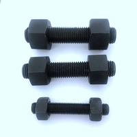 Chemical-Resistant M10*100mm HDG Black Coted Stud Bolt ASTM A193 8.8 10.9 B8M Rod with Nuts ASTM A194 GR.8M