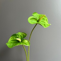YOPIN-8201 Bunga Artificial PU Real Touch Anthurium Laris untuk Dekorasi Acara