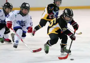 Pista di pattinaggio su ghiaccio sintetico Uhmwpe PE & HDPE in polietilene in plastica da Hockey tavola tagliata e modellata su misura