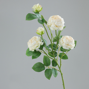 <span class=keywords><strong>ด</strong></span>อกกุหลาบประดิษฐ์แบบพ่น 5 หัว ขายส่ง |   กลีบ<span class=keywords><strong>ด</strong></span>อกสัมผัสเหมือนจริง <span class=keywords><strong>ด</strong></span>ีไซน์ขอบหยัก เหมาะสำหรับตกแต่งแจกันและงาน DIY - Product Image 6