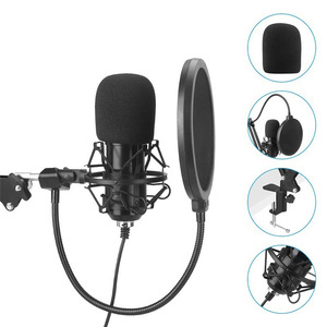 CPYP bm 800 microfono a condensatore da studio microfono de estudio - Product Image 1