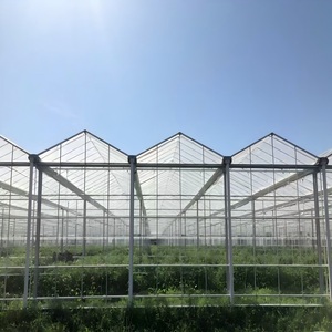 Tropische polycarbonaat PC-kassen en commerciële hydroponische teeltsystemen voor tomaten, sla en aardbeien - Product Image 1