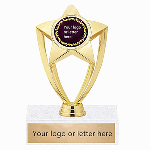 Pièces de trophée en gros coupe étoile forme trophée <span class=keywords><strong>pour</strong></span> souvenir - Product Image 5