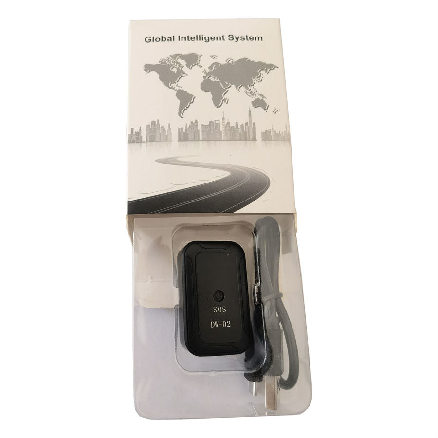 Hot Sale Electric Scooter Citycoco Motorcycle GPS