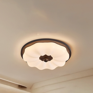 Ra97全光谱LED吸顶灯护眼无闪烁5厘米超薄230-880毫米家用明装灯 - Product Image 1