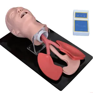 Advanced Adult Trachea Intubation Manikin Training Model Trachea Endotracheal Head Model