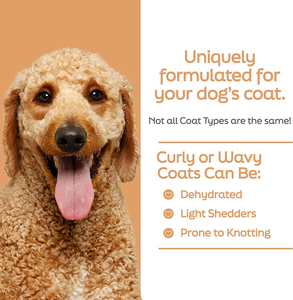 Champús para <span class=keywords><strong>perros</strong></span> de etiqueta privada Desenreda y condiciones con leche de <span class=keywords><strong>avena</strong></span> Aceite de coco y manteca de karité Champú para mascotas para abrigo rizado u ondulado - Product Image 2