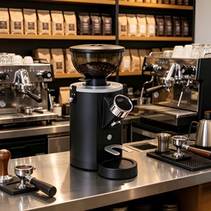 Moulin <span class=keywords><strong>à</strong></span> <span class=keywords><strong>café</strong></span> électrique professionnel commercial <span class=keywords><strong>à</strong></span> dose unique, super silencieux, pour grains de <span class=keywords><strong>café</strong></span> - Product Image 5