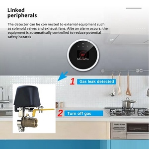 Độ Ổn Định Cao Tuya WiFi Báo Động Gas <span class=keywords><strong>Detector</strong></span> Hộ Gia Đình Thông Minh Gas Leak <span class=keywords><strong>Detector</strong></span> Đối Với Trang Chủ - Product Image 5