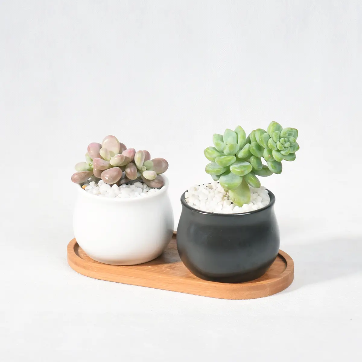 Succulent Flower Pot Green Planter Indoor Small Ceramic Flower Pot