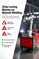 Cobot de Soldadura MIG de 6 Ejes, Brazo Robótico Colaborativo con Motor, Caja de Cambios, PLC, Flexible, de Acero Inoxidable