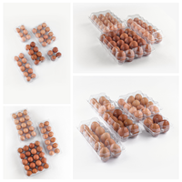 Vente en gros bon marché emballage d'oeufs jetables en PET 20 trous plateau d'oeufs transparent en plastique