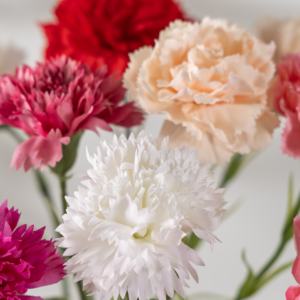<span class=keywords><strong>Claveles</strong></span>, Decoración de Flores Simuladas Realistas, Decoración de Flores Artificiales, Decoración de Flores Artificiales para Bodas - Product Image 4