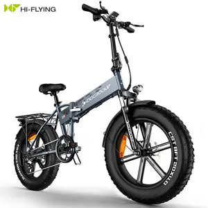 EU 미국 창고 DOCROOUP 750w 산악 전기 자전거 성인 DS2 전자 자전거 접이식 전기 자전거