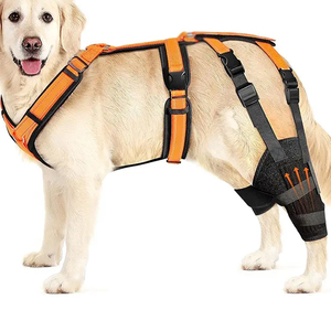 Attelle de <span class=keywords><strong>genou</strong></span> pour chien avec harnais réglable, attelle de <span class=keywords><strong>genou</strong></span> pour chien pour l'arthrose du <span class=keywords><strong>ligament</strong></span> <span class=keywords><strong>croisé</strong></span> antérieur, blessure du <span class=keywords><strong>ligament</strong></span> rotulien, douleur articulaire, attelles pour pattes arrière - Product Image 1