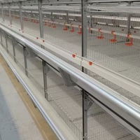 Cage à poulets HENGQI de type H entièrement automatique à 4 niveaux en acier galvanisé avec garantie de 2 ans