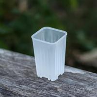 Petit pot carré de 5 cm, épaissi, pour fleurs, plantes succulentes, pépinière, mini-planteur de cactus, décoration de jardin