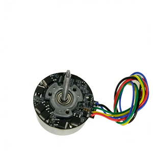 Moteur électrique sans balais micro DC 24V pour <span class=keywords><strong>robot</strong></span> nettoyeur de <span class=keywords><strong>piscine</strong></span> - Product Image 2