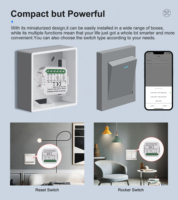 Módulo de Interruptor Inteligente WiFi, Sin Necesidad de Cable Neutro, Relé de Interruptor de 2, 3 y 4 Canales, Neutro Opcional, Compatible con Alexa y Hey Google, 240V 10A