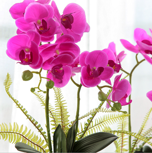 <span class=keywords><strong>Orchidée</strong></span> artificielle bonsaï, 1 pièce, tactile, avec pot, fleurs pour la décoration - Product Image 4