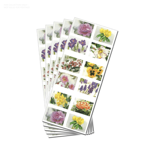 Compre con Descuento: Libros en Inglés de Colección Personalizados 2022 Snowy Garden Beauty, Álbum de Estampillas <span class=keywords><strong>Postales</strong></span> Originales Antiguas - Product Image 4