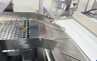 Machine automatique de comptage, remplissage et bouchage de tubes pour comprimés, machine d'emballage de tubes pour comprimés effervescents en bouteilles PP
