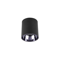 30 Deg noir Chrome déflecteur cylindre rond Dia 94Mm 3 pouces 10W aluminium Direction vers le bas lumière Cob Surface montée Led Downlight