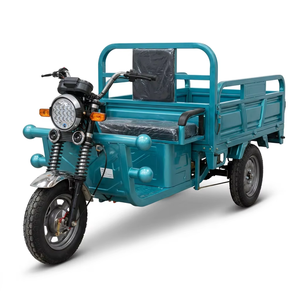 Triciclo Eléctrico Resistente de 1000W con Eje Flotante Completo, Caja de Carga con Soporte de 6 Vigas, Chasis de Soldadura Robótica de 3 Ruedas C-A-150 - Product Image 2