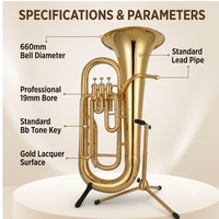 Factory Supply Brass Instrument All Kinds Brass Musical Instruments Bb Key Tuba for Sale