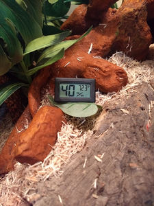 FY-11 номер гидрометр температуры влажности датчика небольшой цифровой термометр Мини ЖК-дисплей цифровой термометр-гигрометр - Product Image 6