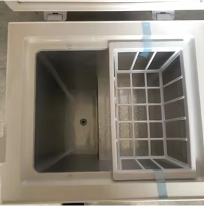 Congélateur de petite capacité X 42L, <span class=keywords><strong>prix</strong></span> <span class=keywords><strong>d</strong></span>'usine, congélateur domestique et commercial, congélateur spécial, adapté à 1-2 personnes - Product Image 3