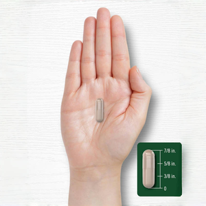 Phong Cách Mới 500Mg Đen <span class=keywords><strong>Cohosh</strong></span> Gốc Viên Nang Nhãn Hiệu Riêng Thảo Dược Tự Nhiên Bổ Sung Sức Khỏe Cho Người Lớn Đen <span class=keywords><strong>Cohosh</strong></span> Chiết Xuất - Product Image 5