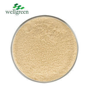 Toptan Panax <span class=keywords><strong>Ginseng</strong></span> Yaprak Ekstresi %80 Rg1 Rb1 <span class=keywords><strong>Ginseng</strong></span> Yaprak Ekstresi - Product Image 1