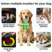Jouet d'entraînement pour animaux de compagnie, jouets à mâcher pour chiens, jouets qui couinent, jouet interactif mignon pour animaux de compagnie, jouets et accessoires pour animaux de compagnie